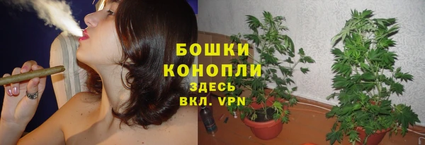 герыч Новозыбков