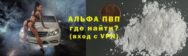 PSILOCYBIN Новокубанск
