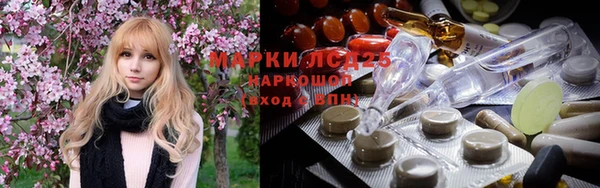 PSILOCYBIN Новокубанск