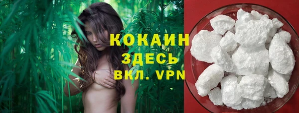 герыч Новозыбков